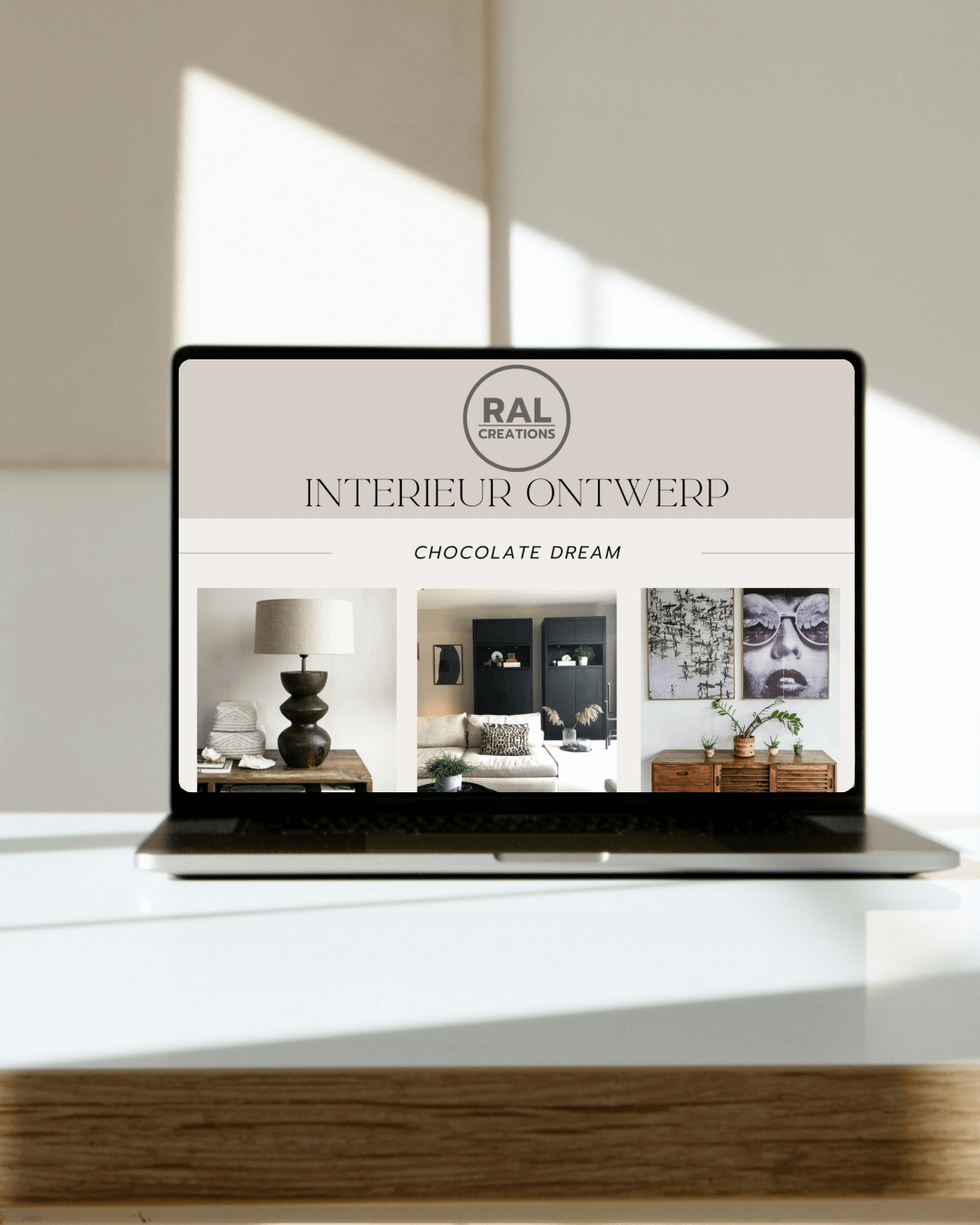 Op een laptop wordt een kant-en-klaar interieuradvies weergegeven. Alsof je het hebt gedownload. zoekwoorden: interieur, ontwerp, advies , stylist, kleur, schilder, binnen, nieuwbouw, woning, verbouwen, renoveren, Amersfoort, Zeist, Soest, heel, Nederland